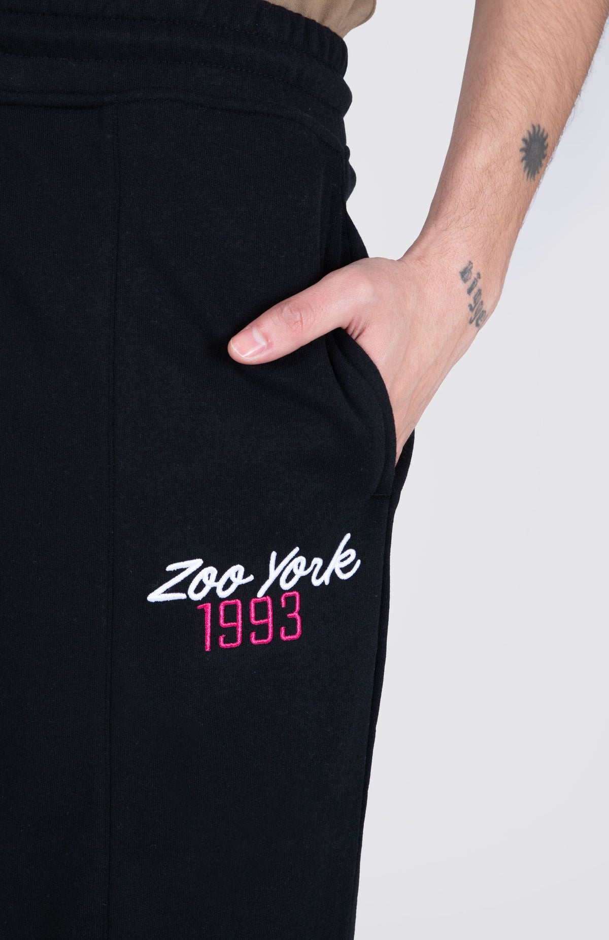Jogger Regular Verasity Negro Zoo York