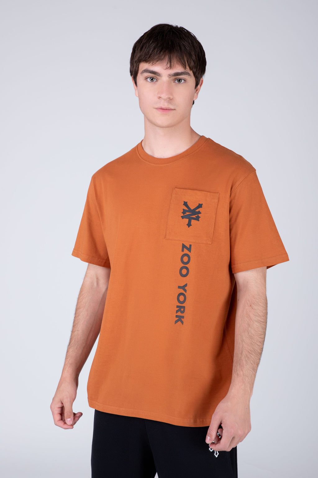 Polera Manga Corta Allmart Café Bronce Zoo York