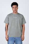 Polera Manga Corta Standard Verde Zoo York