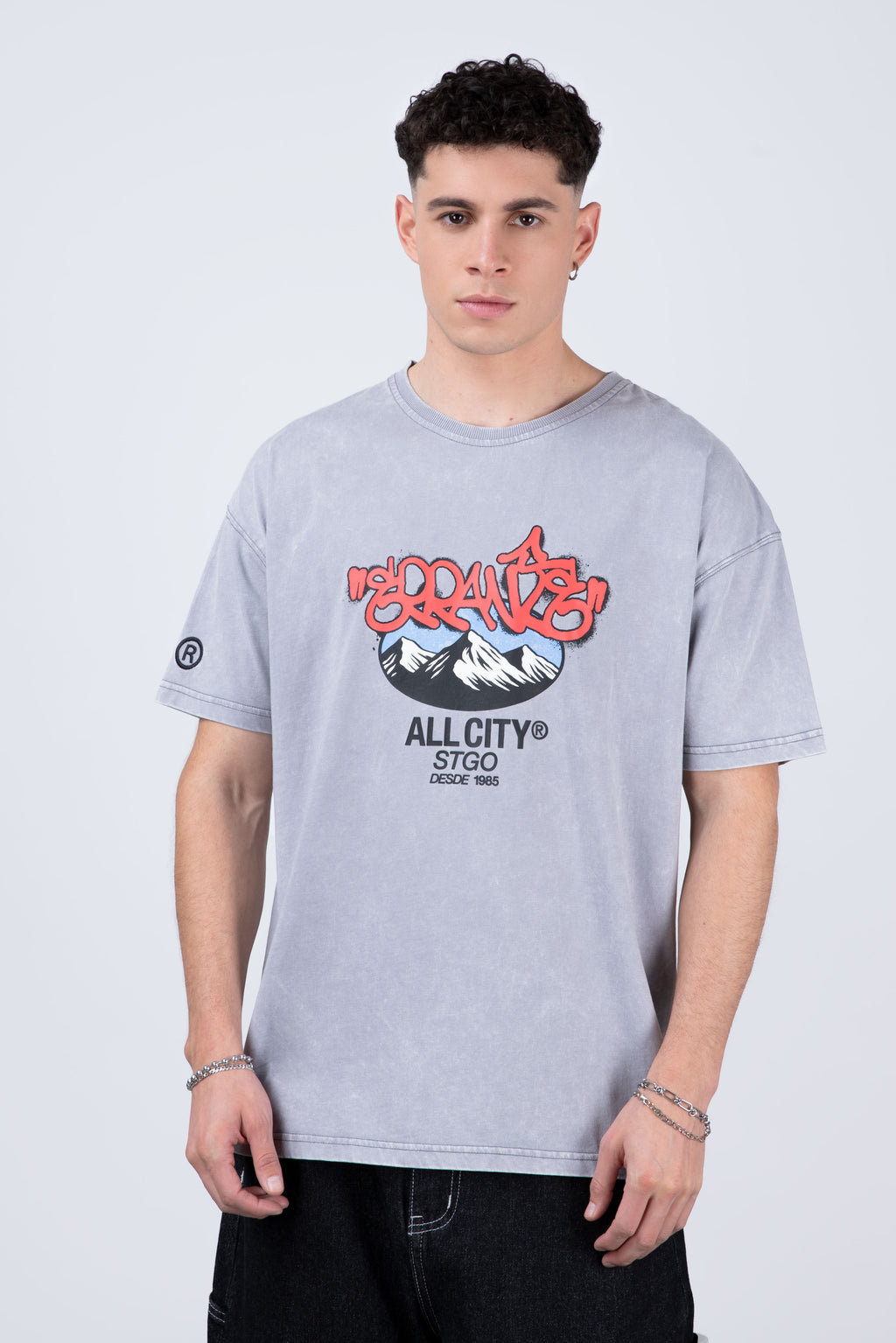 Polera Manga Corta Andes Con Gorro Gris