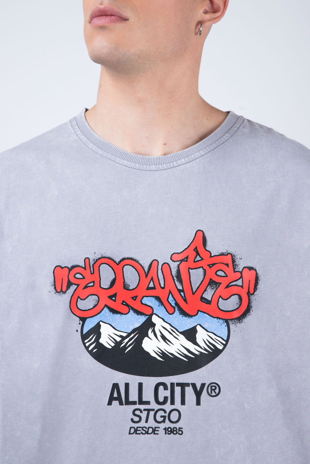 Polera Manga Corta Andes Con Gorro Gris