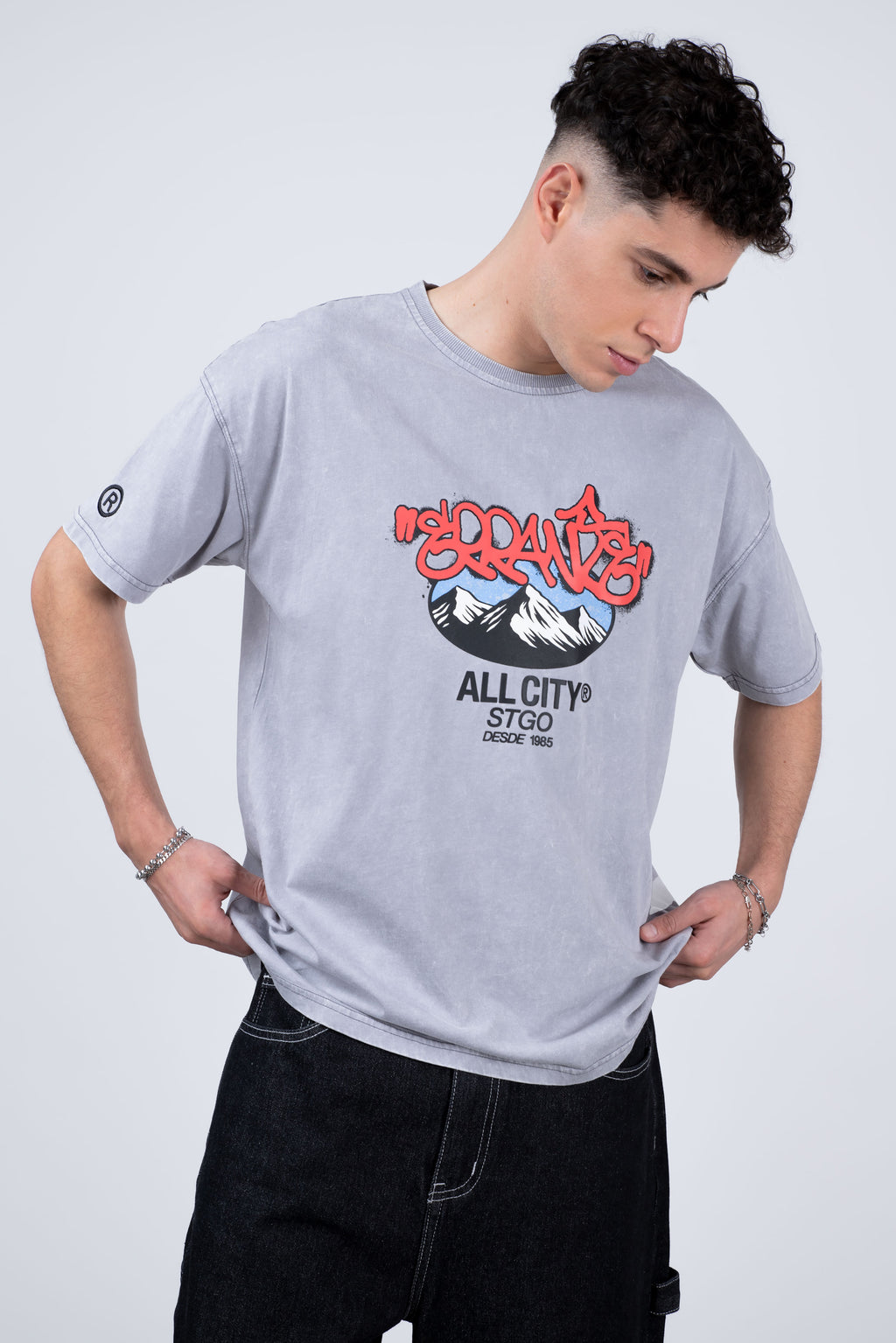 Polera Manga Corta Andes Con Gorro Gris